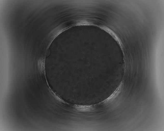 X0000093461337200710121359