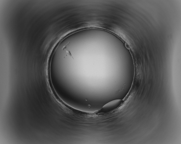 X0000093461339200710121359