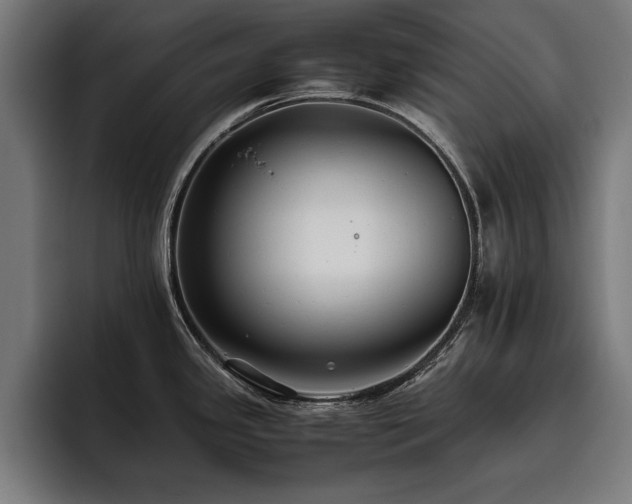 X0000093461341200710121359