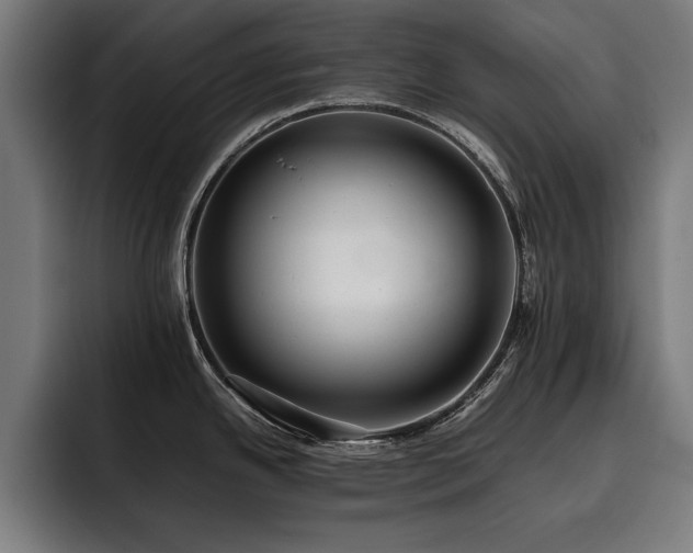 X0000093461342200710121359