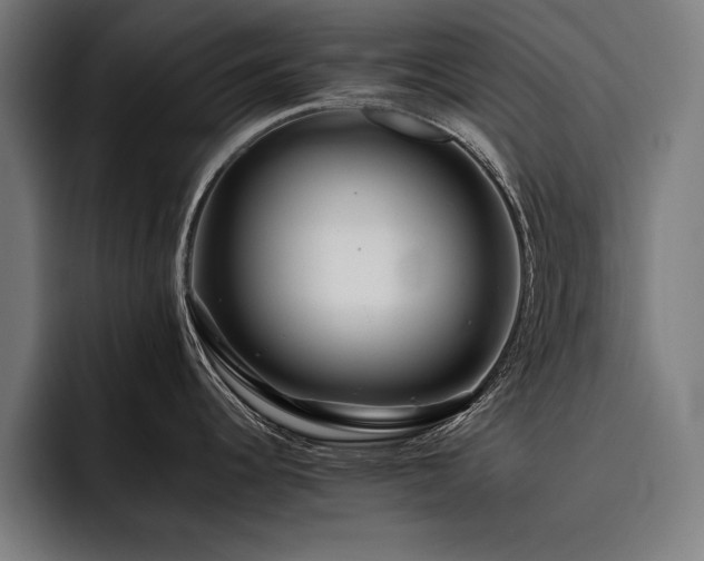 X0000093461344200710121359