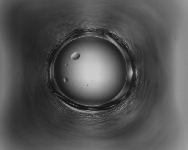 X0000093461348200710121359