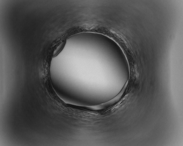 X0000093461349200710121359