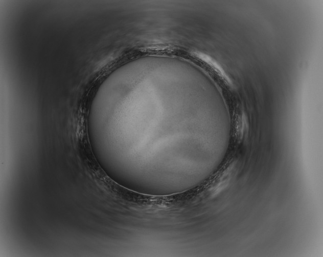 X0000093461350200710121359