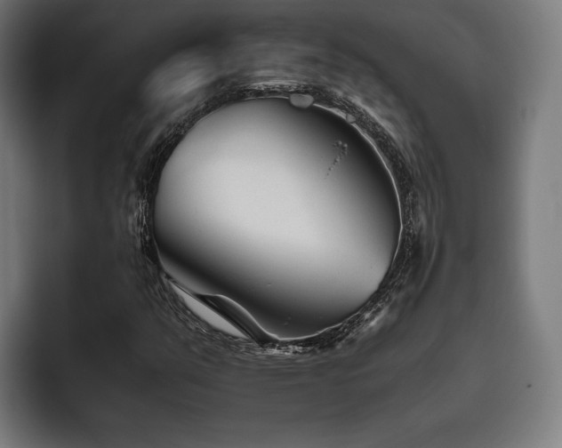 X0000093461351200710121359