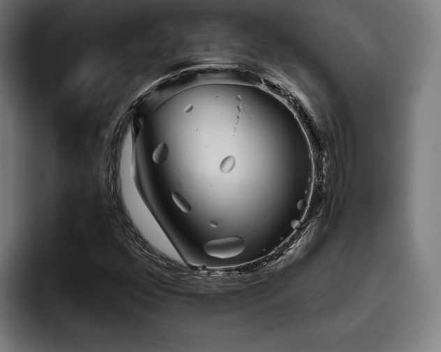 X0000093461352200710121359