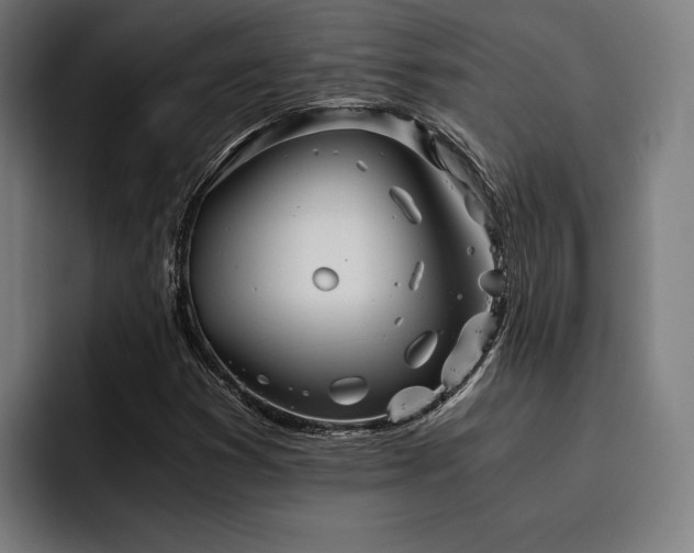 X0000093461353200710121359