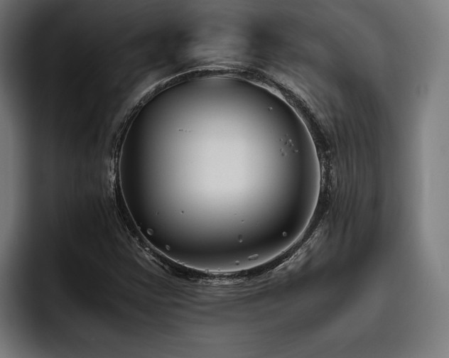 X0000093461355200710121359