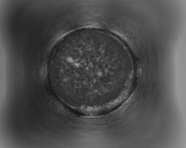 X0000093461359200710121359