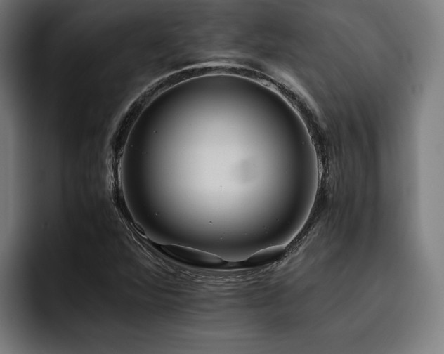 X0000093461360200710121359