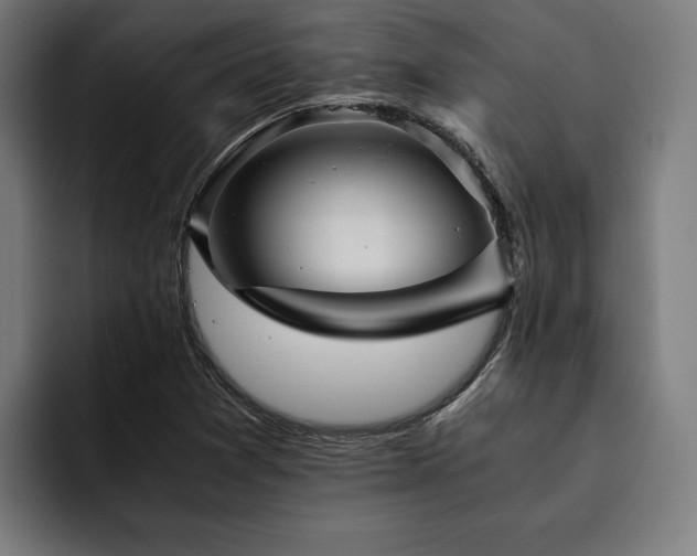 X0000093461361200710121359