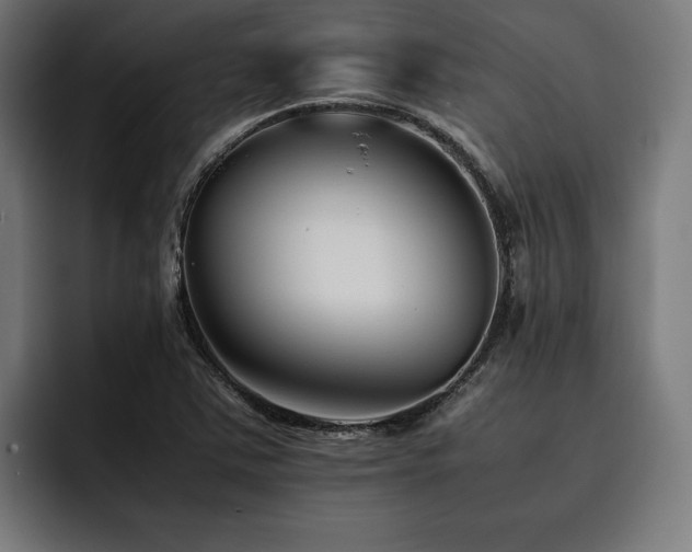 X0000093461363200710121359