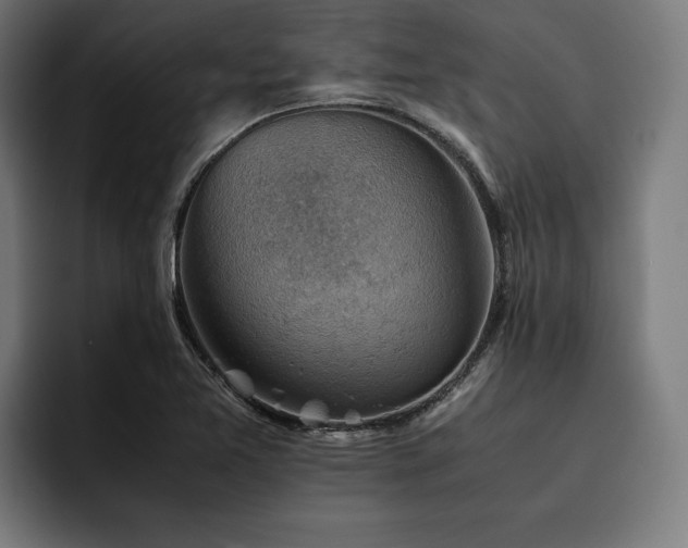 X0000093461365200710121359