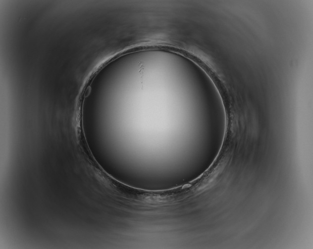 X0000093461366200710121359