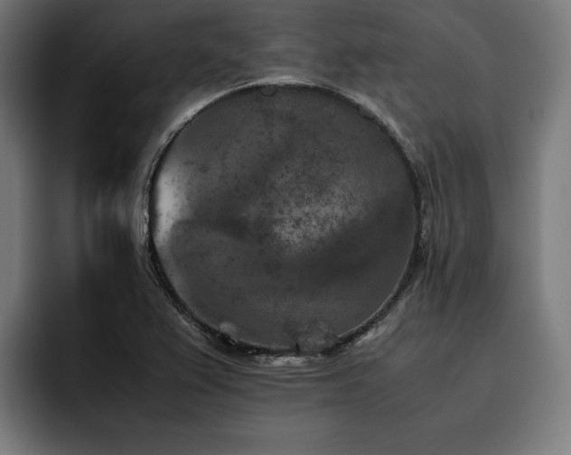 X0000093461367200710121359