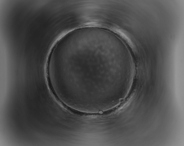 X0000093461373200710121358