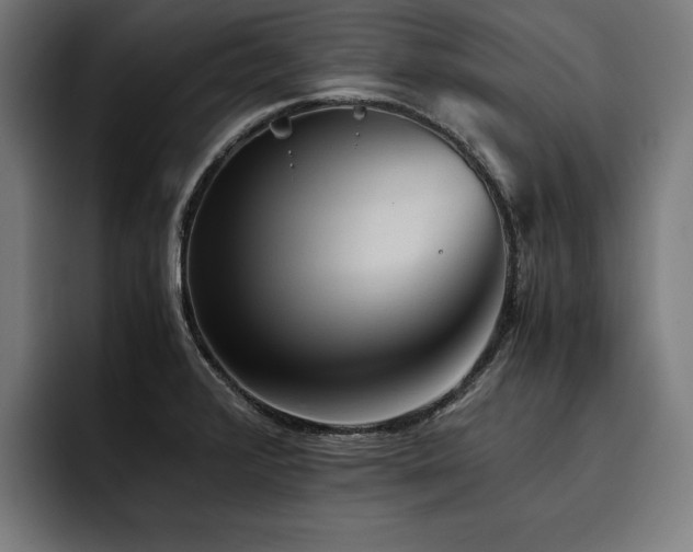 X0000093461376200710121358