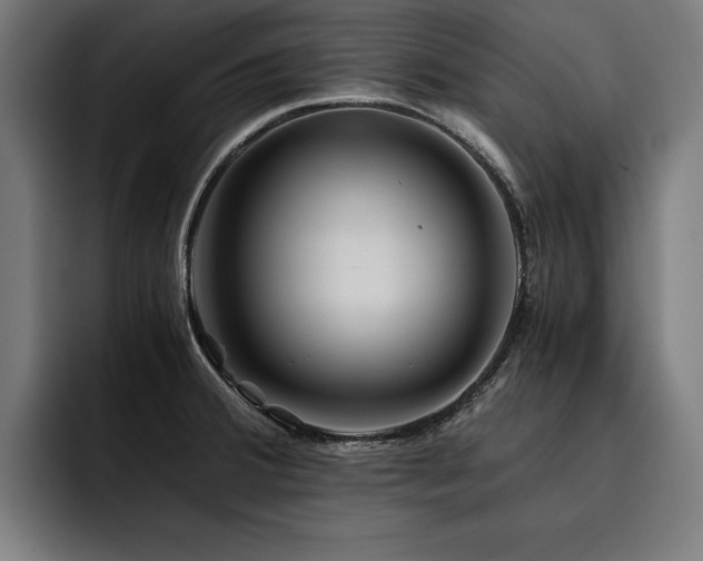 X0000093461380200710121358