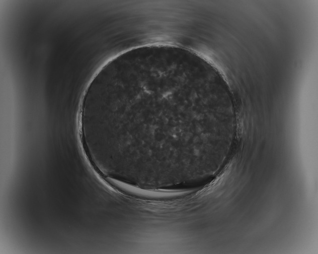 X0000093461383200710121358