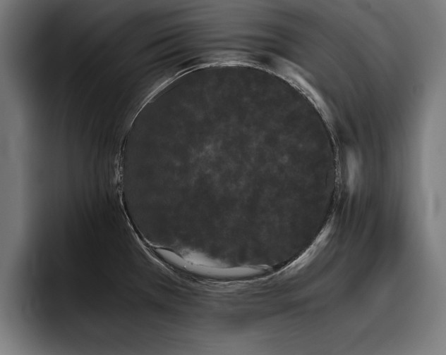 X0000093461385200710121358