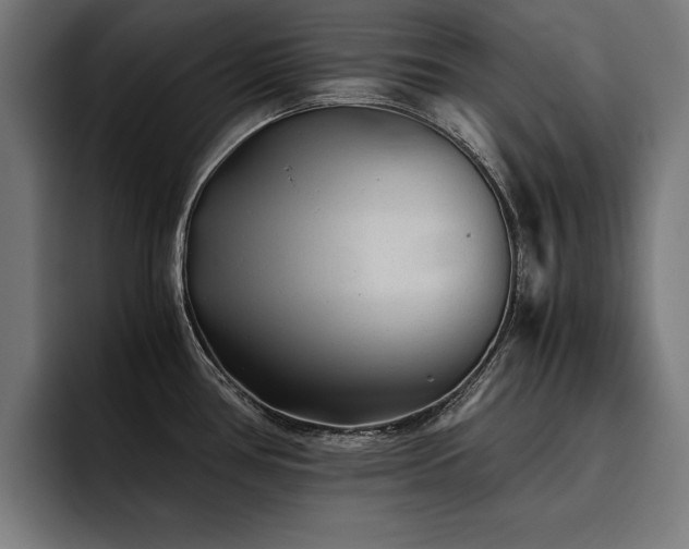 X0000093461386200710121358