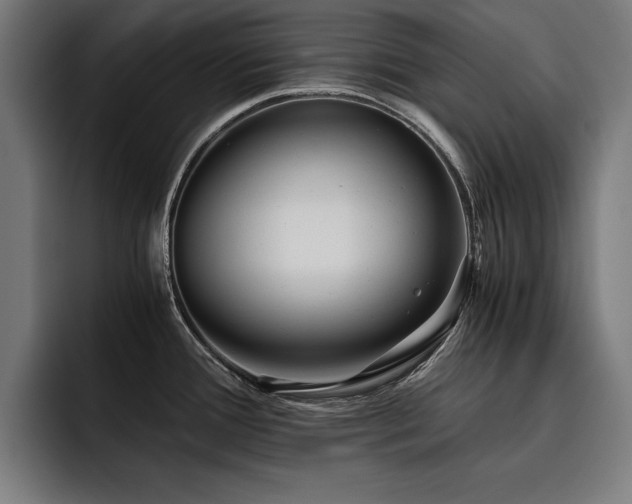 X0000093461388200710121358