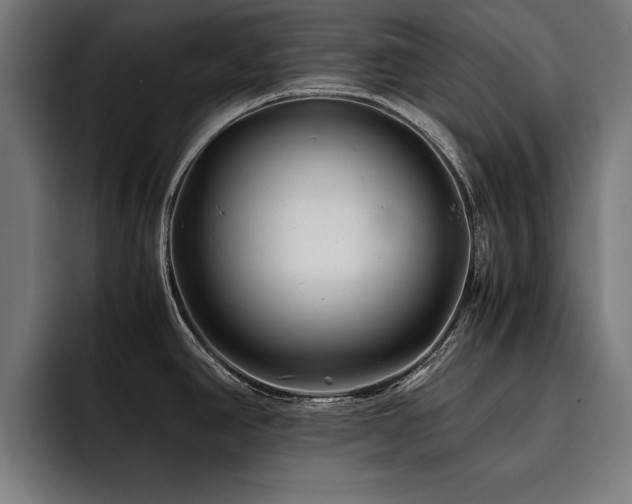 X0000093461390200710121358