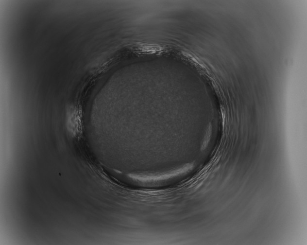 X0000093461394200710121358