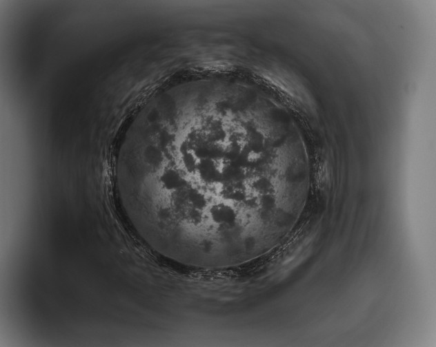 X0000093461397200710121358