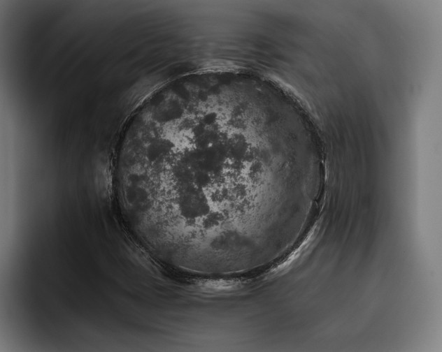 X0000093461401200710121358