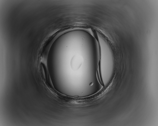 X0000093461402200710121358