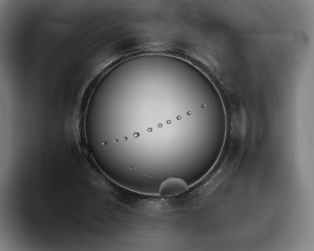 X0000093461410200710121358