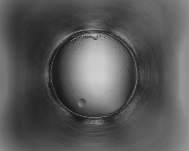 X0000093461415200710121358