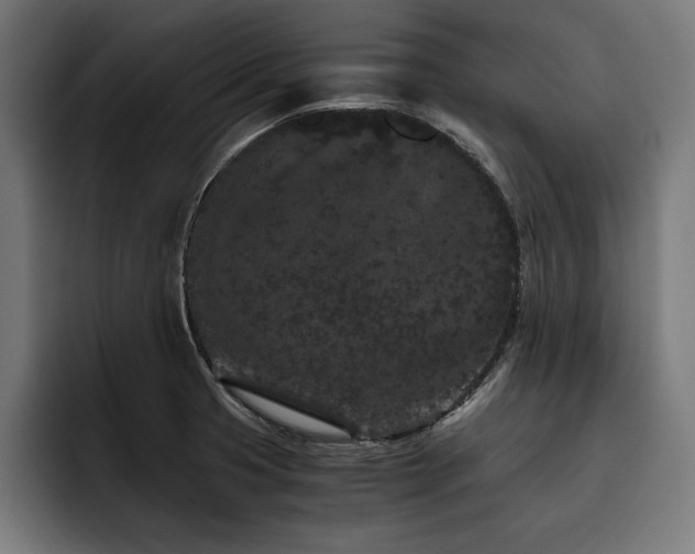 X0000093461425200710121358