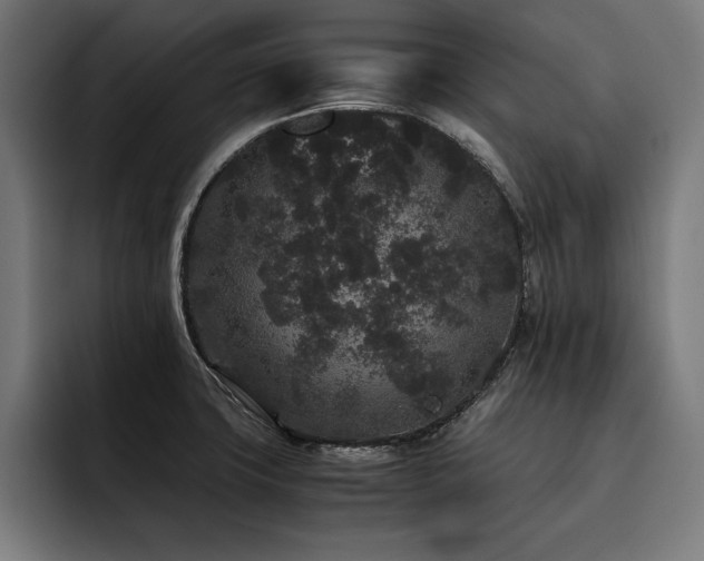 X0000093461427200710121358