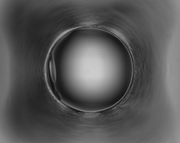 X0000093461440200710121358