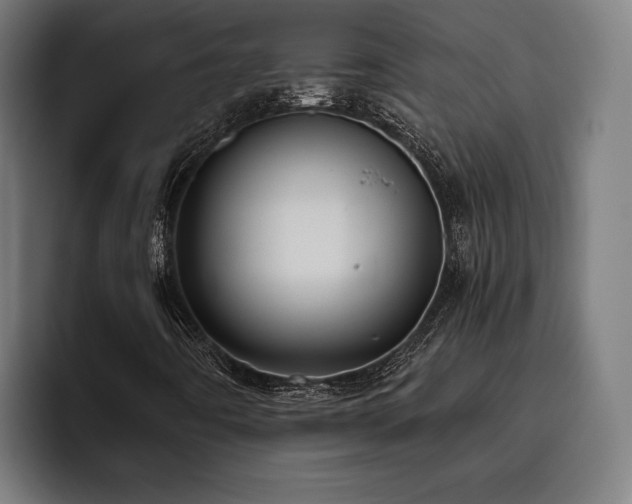 X0000093461442200710121358