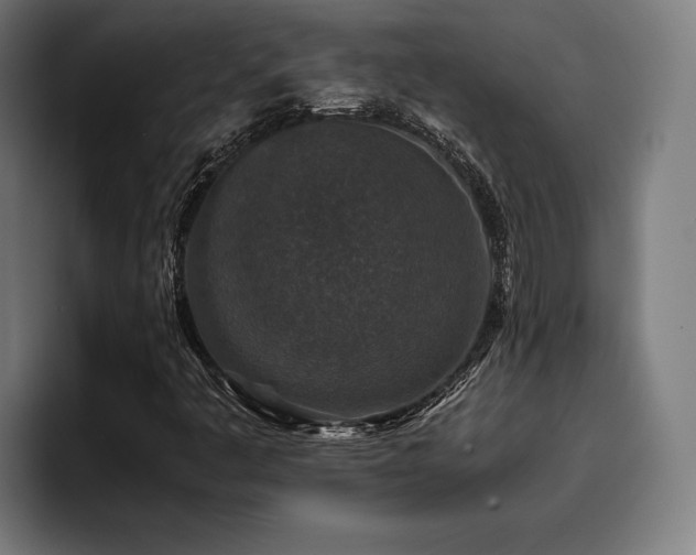 X0000093461445200710121358