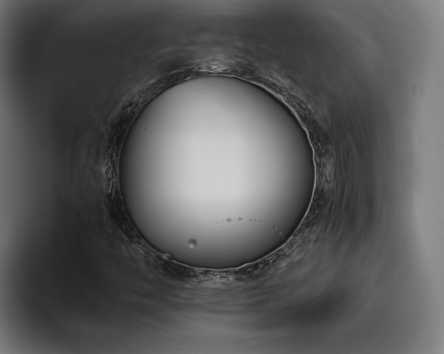 X0000093461446200710121358