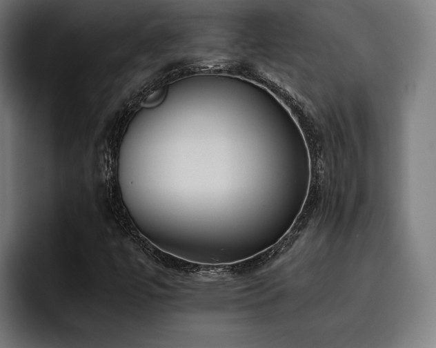 X0000093461447200710121358