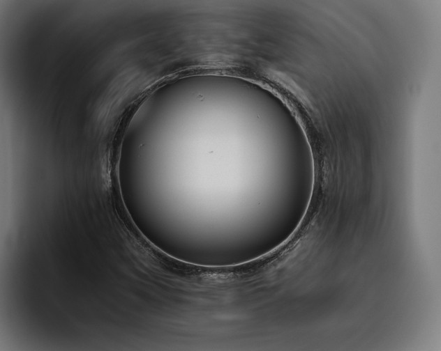 X0000093461451200710121358