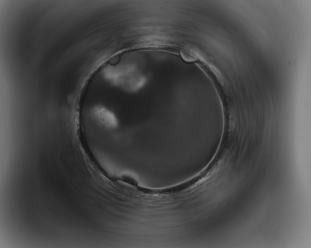 X0000093461459200710121357