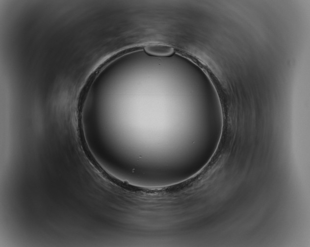 X0000093461460200710121357