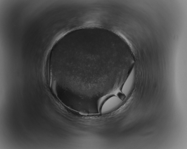 X0000093461461200710121357
