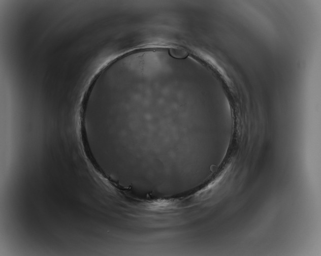 X0000093461463200710121357