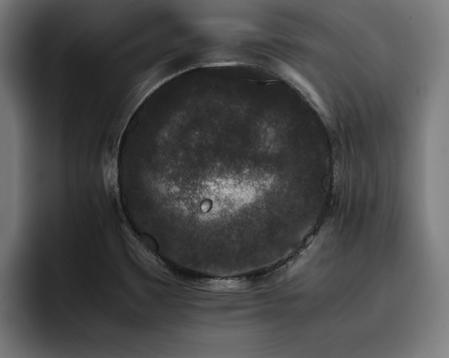 X0000093461465200710121357