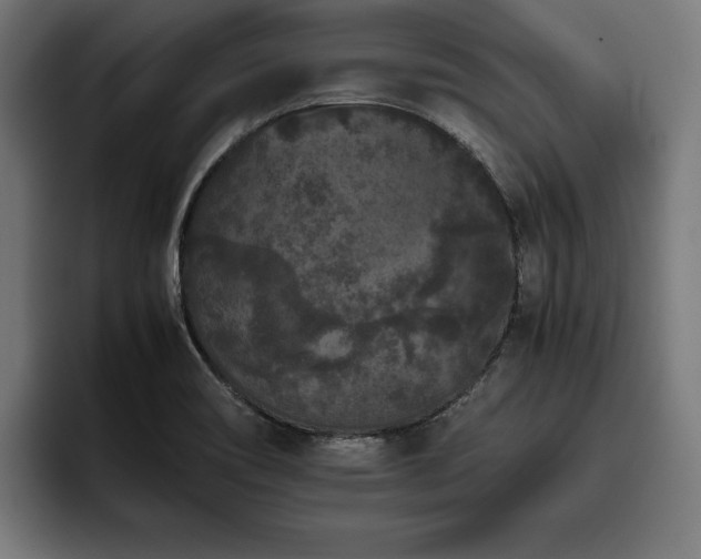 X0000093461466200710121357