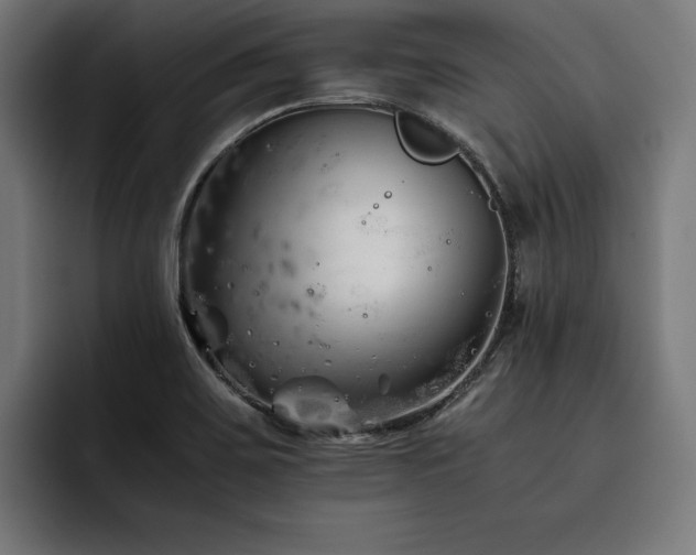 X0000093461467200710121357