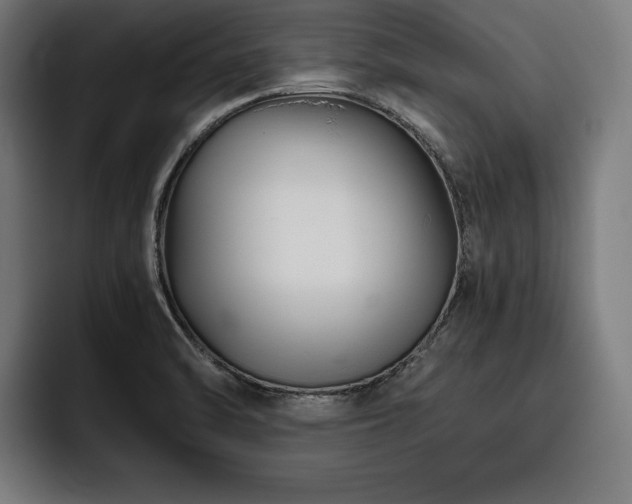 X0000093461470200710121357