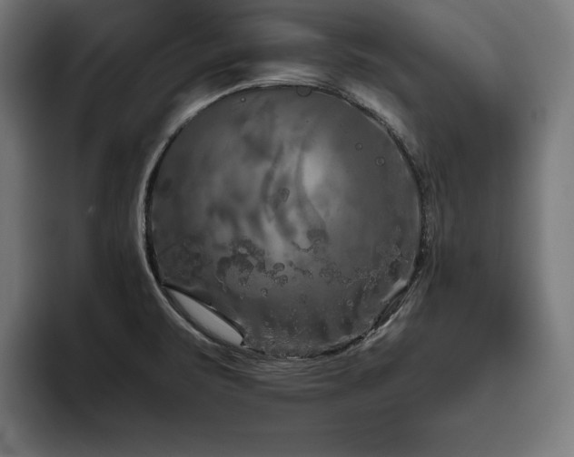 X0000093461471200710121357